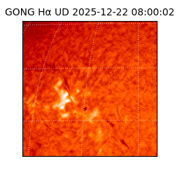 gong - 2025-12-22T08:00:02