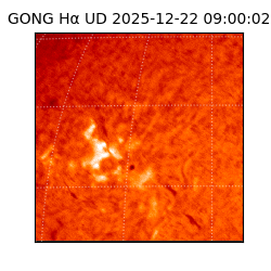 gong - 2025-12-22T09:00:02