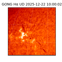 gong - 2025-12-22T10:00:02