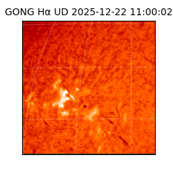 gong - 2025-12-22T11:00:02