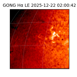 gong - 2025-12-22T02:00:42