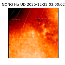 gong - 2025-12-22T03:00:02