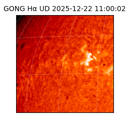 gong - 2025-12-22T11:00:02