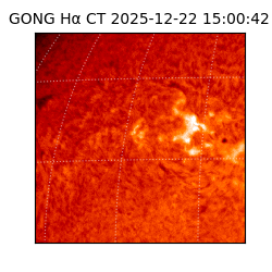 gong - 2025-12-22T15:00:42