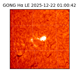 gong - 2025-12-22T01:00:42