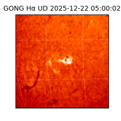 gong - 2025-12-22T05:00:02