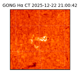 gong - 2025-12-22T21:00:42