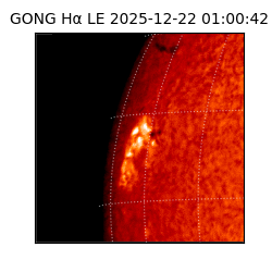 gong - 2025-12-22T01:00:42