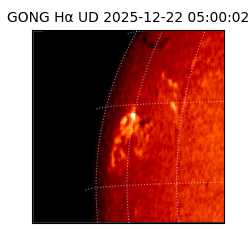 gong - 2025-12-22T05:00:02