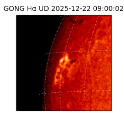 gong - 2025-12-22T09:00:02