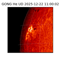 gong - 2025-12-22T11:00:02