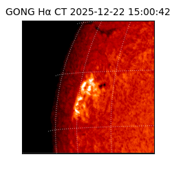 gong - 2025-12-22T15:00:42