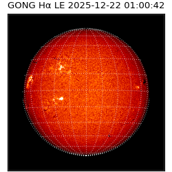 gong - 2025-12-22T01:00:42
