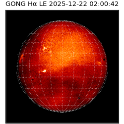 gong - 2025-12-22T02:00:42