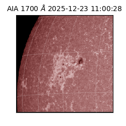 saia - 2025-12-23T11:00:28.718000