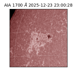 saia - 2025-12-23T23:00:28.718000