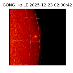 gong - 2025-12-23T02:00:42