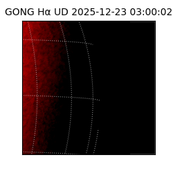 gong - 2025-12-23T03:00:02