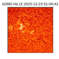 gong - 2025-12-23T01:00:42