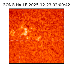 gong - 2025-12-23T02:00:42