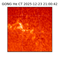 gong - 2025-12-23T21:00:42