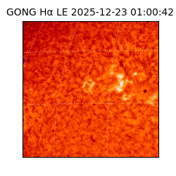 gong - 2025-12-23T01:00:42