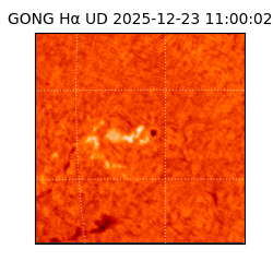 gong - 2025-12-23T11:00:02