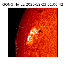 gong - 2025-12-23T01:00:42