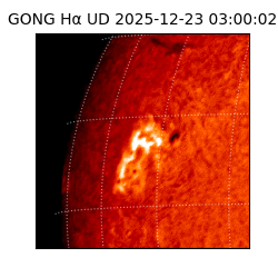 gong - 2025-12-23T03:00:02