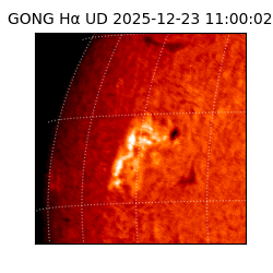 gong - 2025-12-23T11:00:02