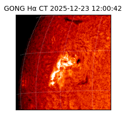 gong - 2025-12-23T12:00:42