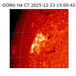 gong - 2025-12-23T15:00:42