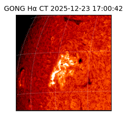 gong - 2025-12-23T17:00:42
