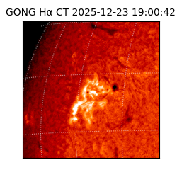gong - 2025-12-23T19:00:42