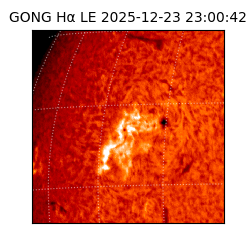 gong - 2025-12-23T23:00:42