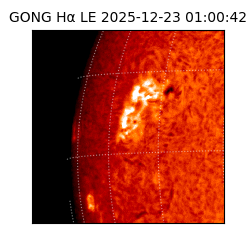 gong - 2025-12-23T01:00:42