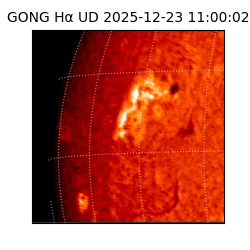 gong - 2025-12-23T11:00:02