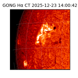 gong - 2025-12-23T14:00:42