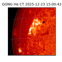 gong - 2025-12-23T15:00:42