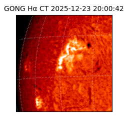 gong - 2025-12-23T20:00:42