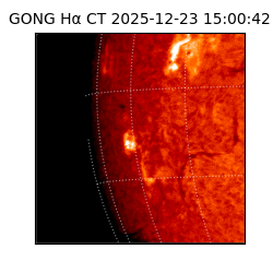 gong - 2025-12-23T15:00:42
