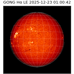 gong - 2025-12-23T01:00:42
