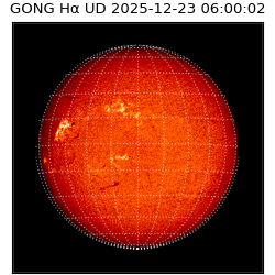 gong - 2025-12-23T06:00:02