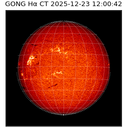 gong - 2025-12-23T12:00:42