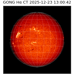 gong - 2025-12-23T13:00:42