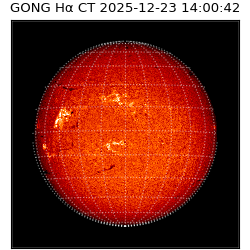 gong - 2025-12-23T14:00:42