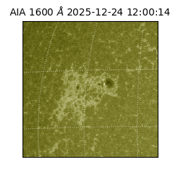 saia - 2025-12-24T12:00:14.134000