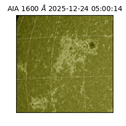 saia - 2025-12-24T05:00:14.126000