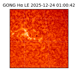 gong - 2025-12-24T01:00:42