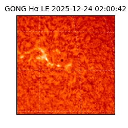 gong - 2025-12-24T02:00:42